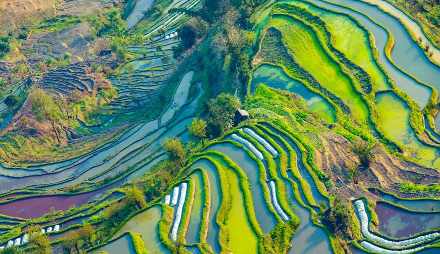 宝妈必备神器：双牌县产品视频拍摄轻松育儿好帮手