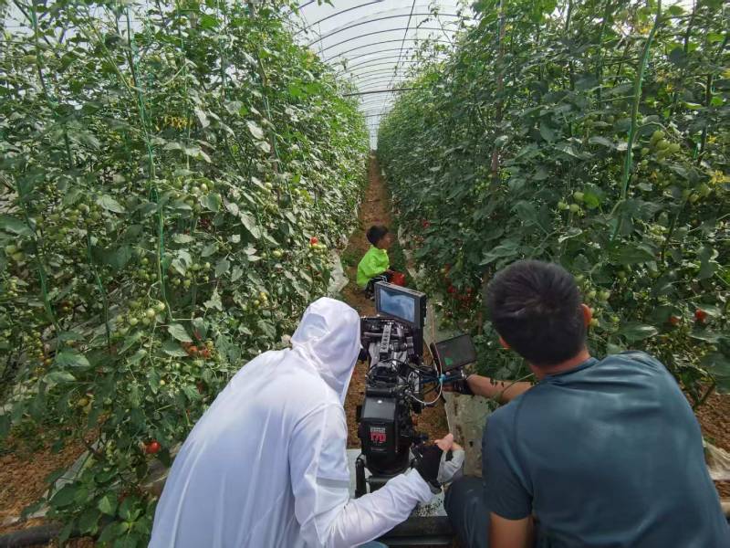 双牌县产品宣传视频拍摄公司进阶指南，助力品牌抢占传播高地